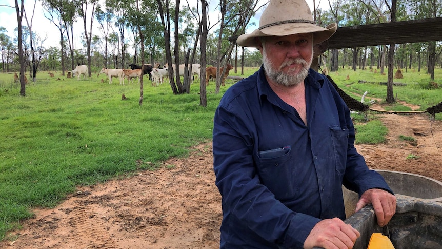 A man stands in front of a green paddock with black, brown and white cattle in it