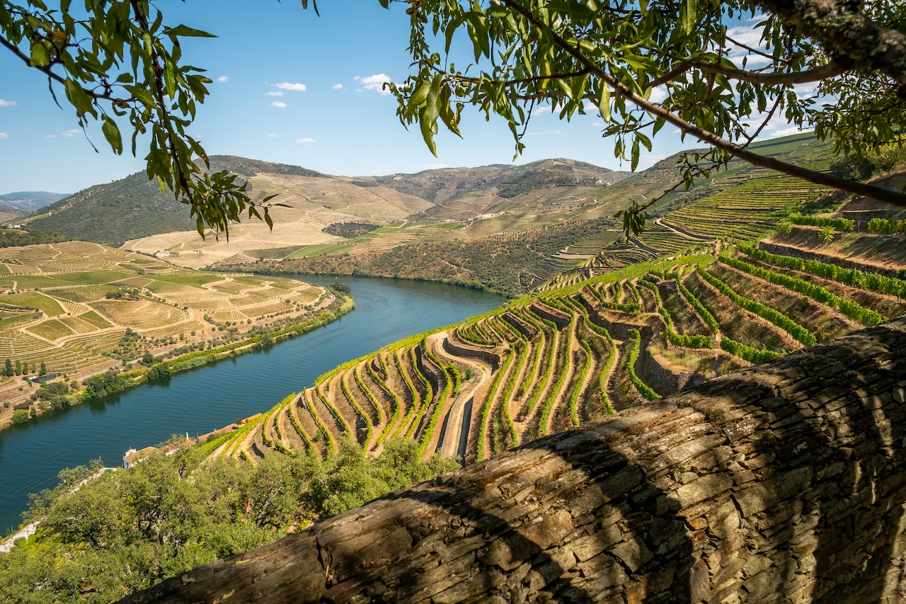 The Douro Valley: Portugal's Wine Paradise